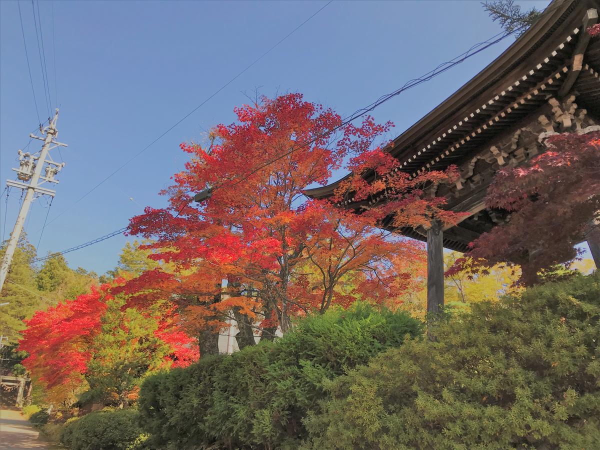 Guesthouse Daruma Takayama  Exterior foto